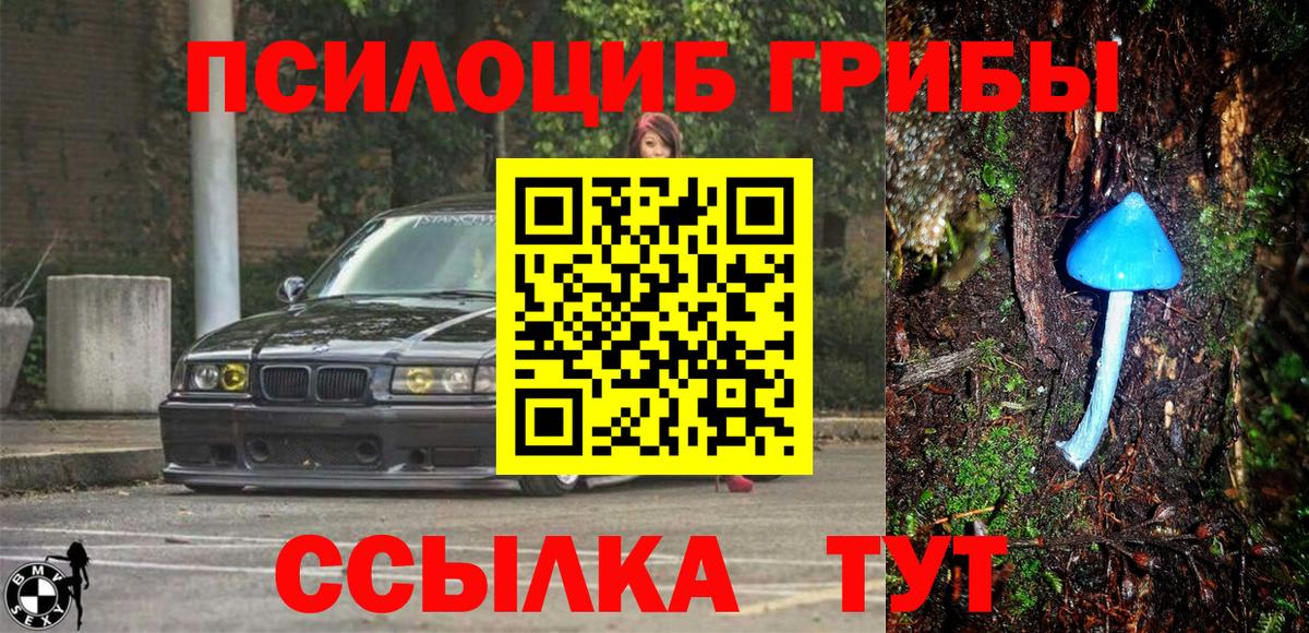Псилоцибиновые грибы прущие грибы Сердобск