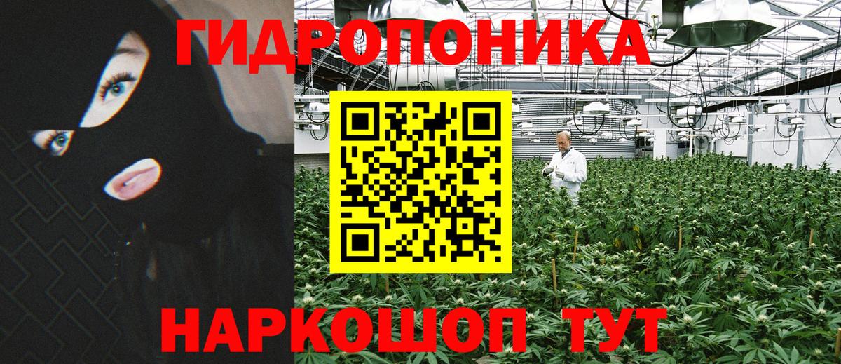 Шишки марихуана планчик  Вход с VPN  Канабис MAZAR  Бошки Шишки семена  Сердобск 